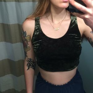 Velvet Crop Top